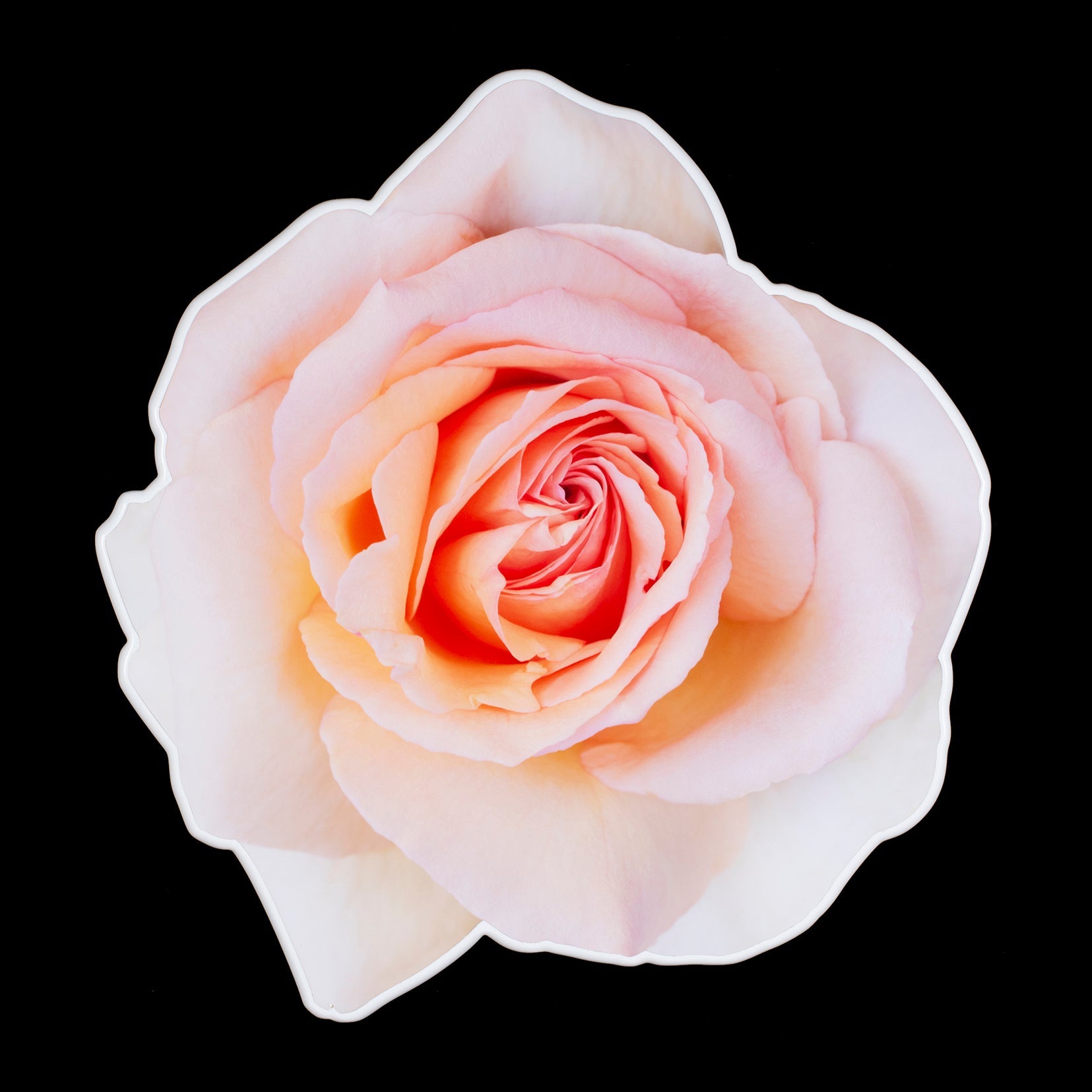 Photographic Sculptures