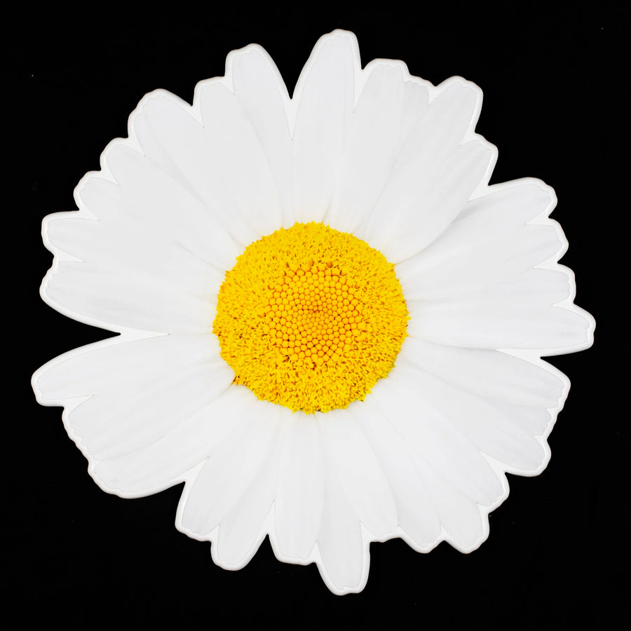 Floral daisy photo sculpture wall art by Rory Fink – bloom-inspired shaped piece