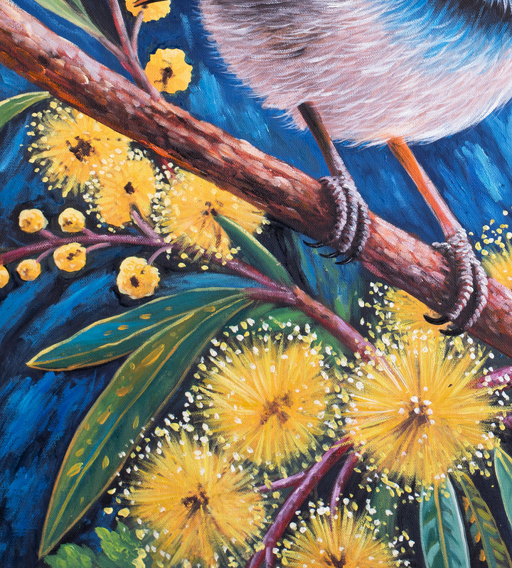Original Australian Fairy Wren Limited Edition Canvas Print - Wattle Branch with Golden Blooms Wall Art close up detail bottom left