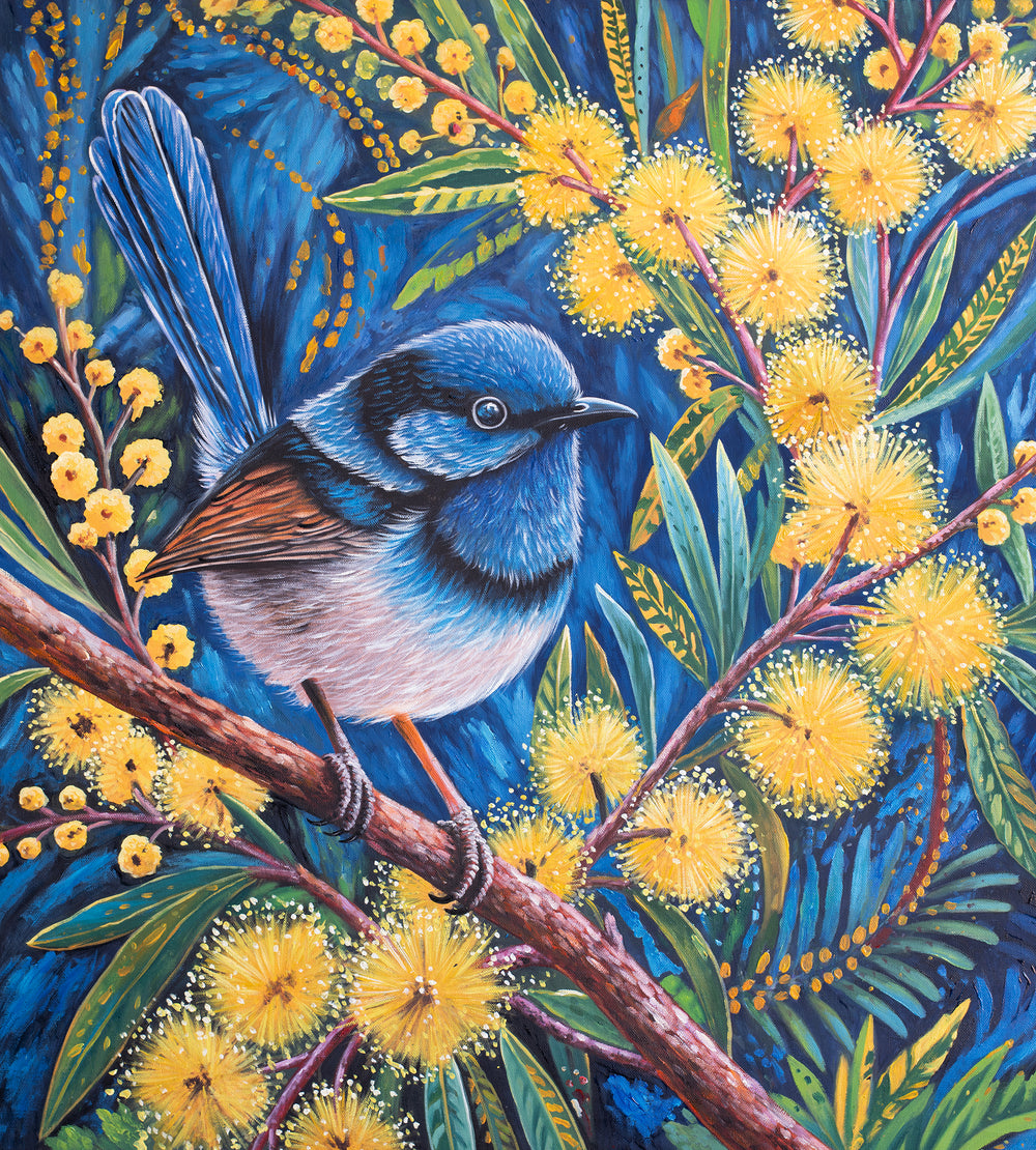 Original Australian Bird Oil Painting - 80x90cm - Fairy Wren on Wattle Branch with Golden Blooms