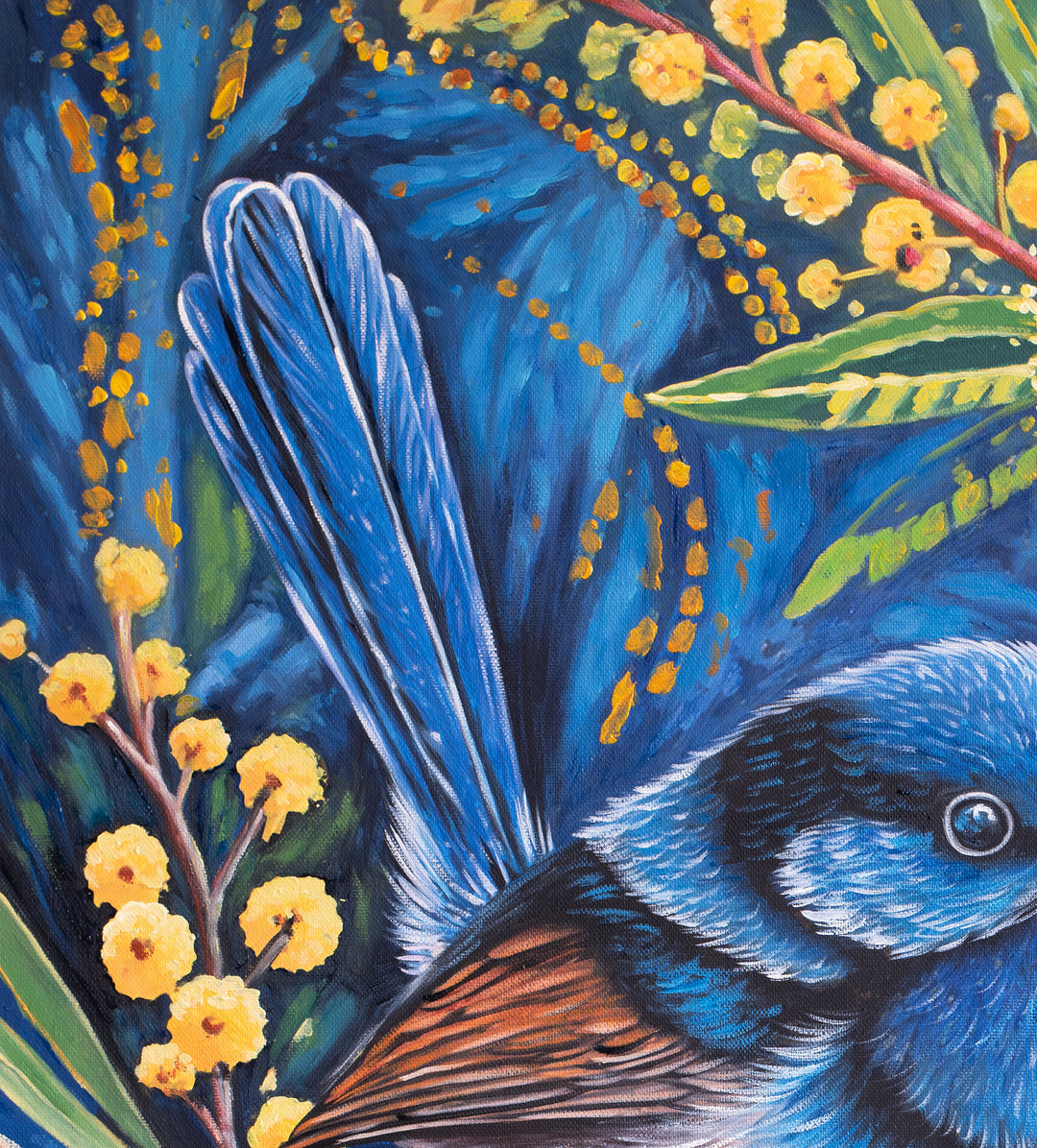 Original Australian Fairy Wren Limited Edition Canvas Print - Wattle Branch with Golden Blooms Wall Art close up detail top left