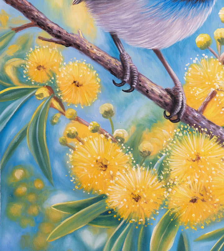 Original Australian Fairy Wren Limited Edition Canvas Print - Wattle Branch Bird Wall Art close up bottom left