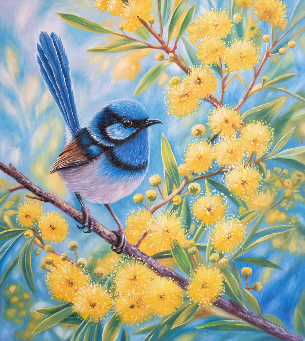 Original Australian Fairy Wren Limited Edition Canvas Print - Wattle Branch Bird Wall Art