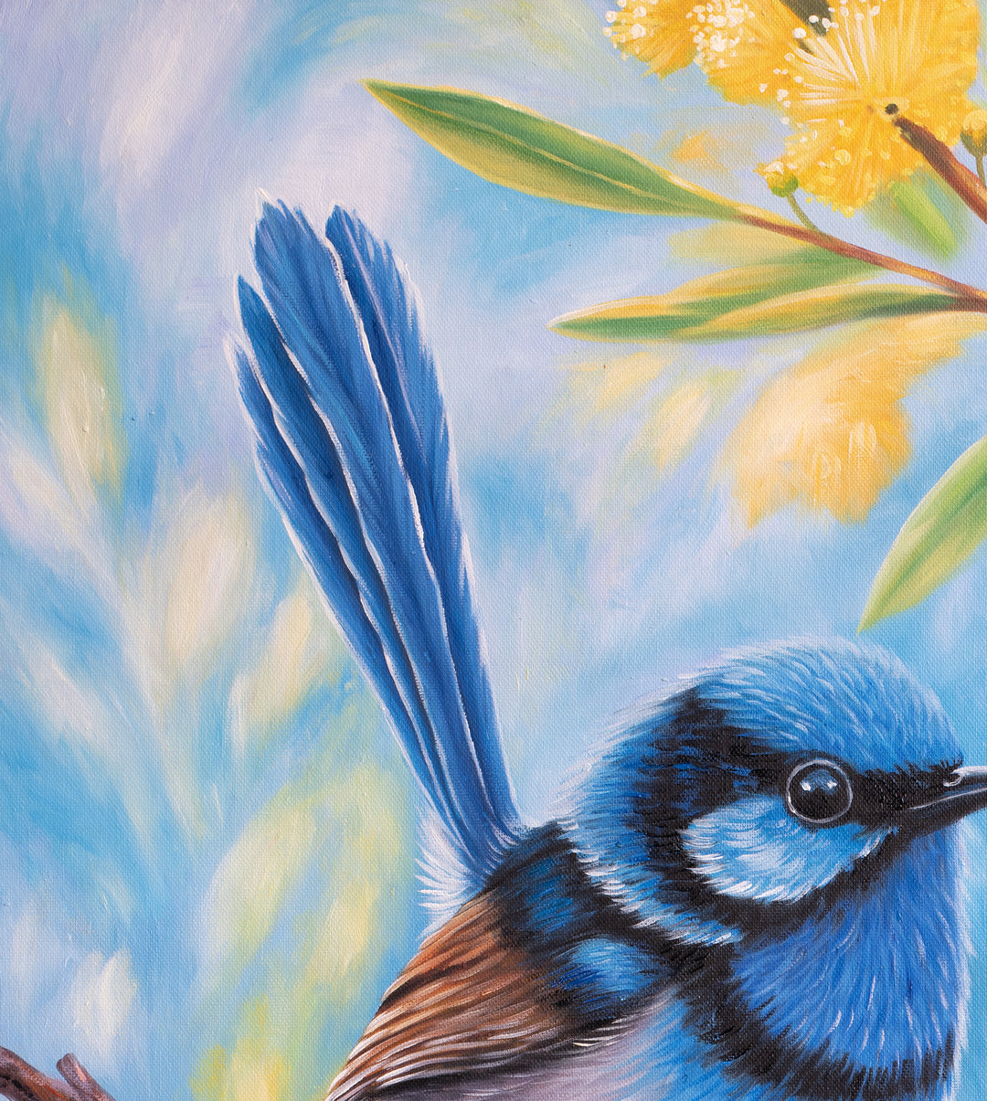 Original Australian Fairy Wren Limited Edition Canvas Print - Wattle Branch Bird Wall Art close up top left
