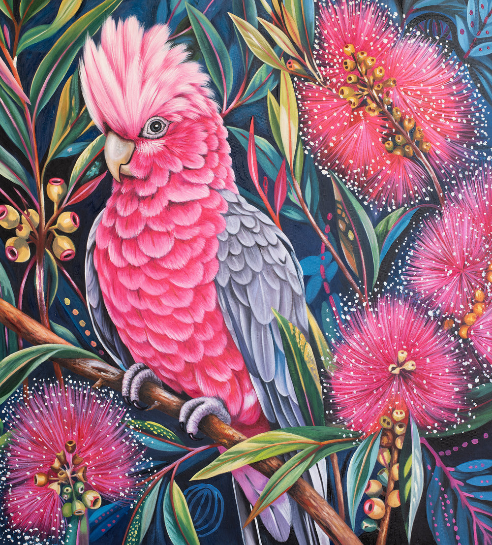Original Australian Galah Limited Edition Canvas Print - Pink Galah with Raised Crest Amongst Flowering Gum Blossoms Wall Art
