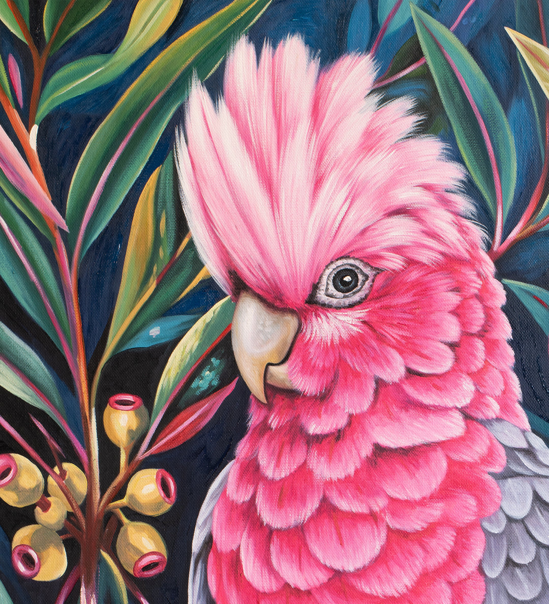 Original Galah Oil Painting - 80x90cm - Pink Galah With Raised Crest Amongst Flowering Gum Blossoms, Colourful Australian Bird Art - close up top left