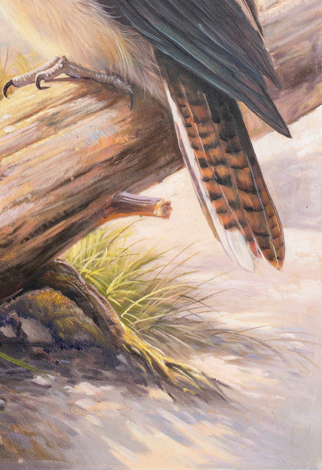 Original Australian Kookaburra Limited Edition Canvas Print - Kookaburra Perched on Log Seascape Wall Art close up bottom right