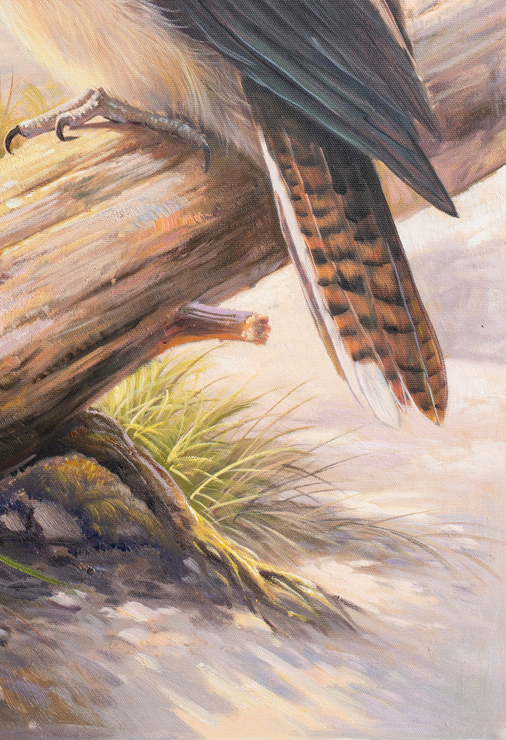 Original Australian Kookaburra Limited Edition Canvas Print - Kookaburra Perched on Log Seascape Wall Art close up bottom right