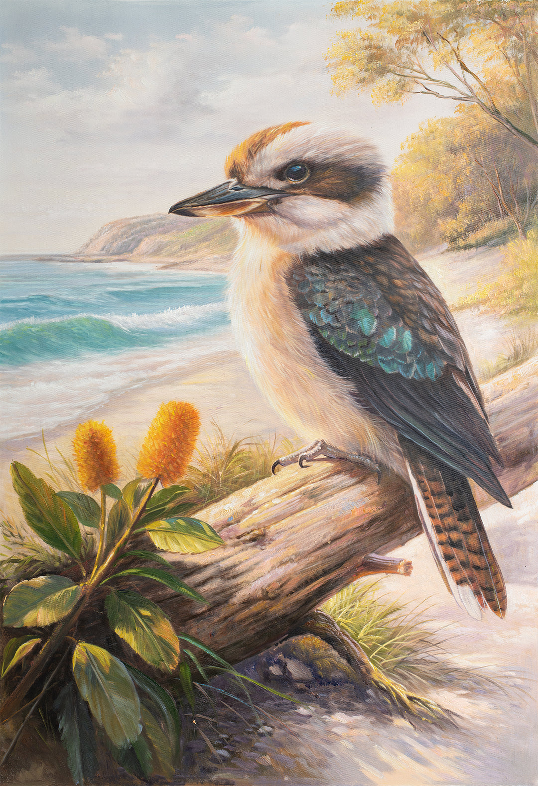 Original Australian Kookaburra Limited Edition Canvas Print - Kookaburra Perched on Log Seascape Wall Art