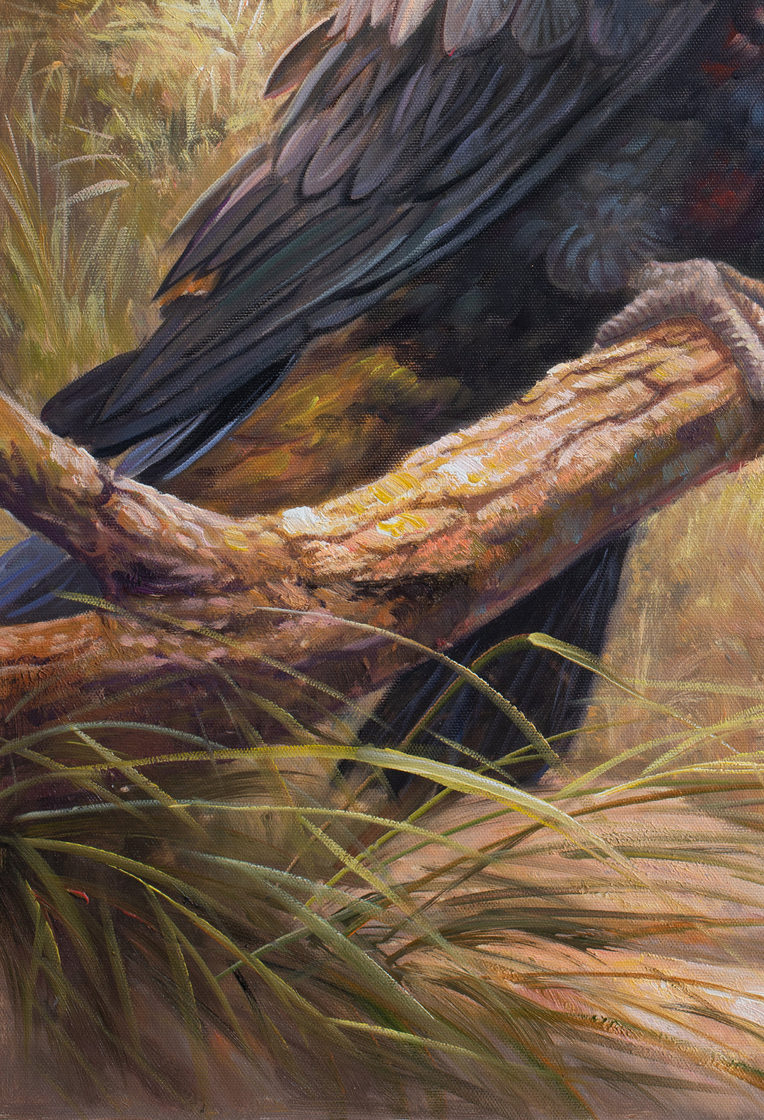 Original Black Cockatoo Oil Painting - 60x90cm - Yellow-Tailed Black Cockatoo in Native Bush Landscape close up bottom left