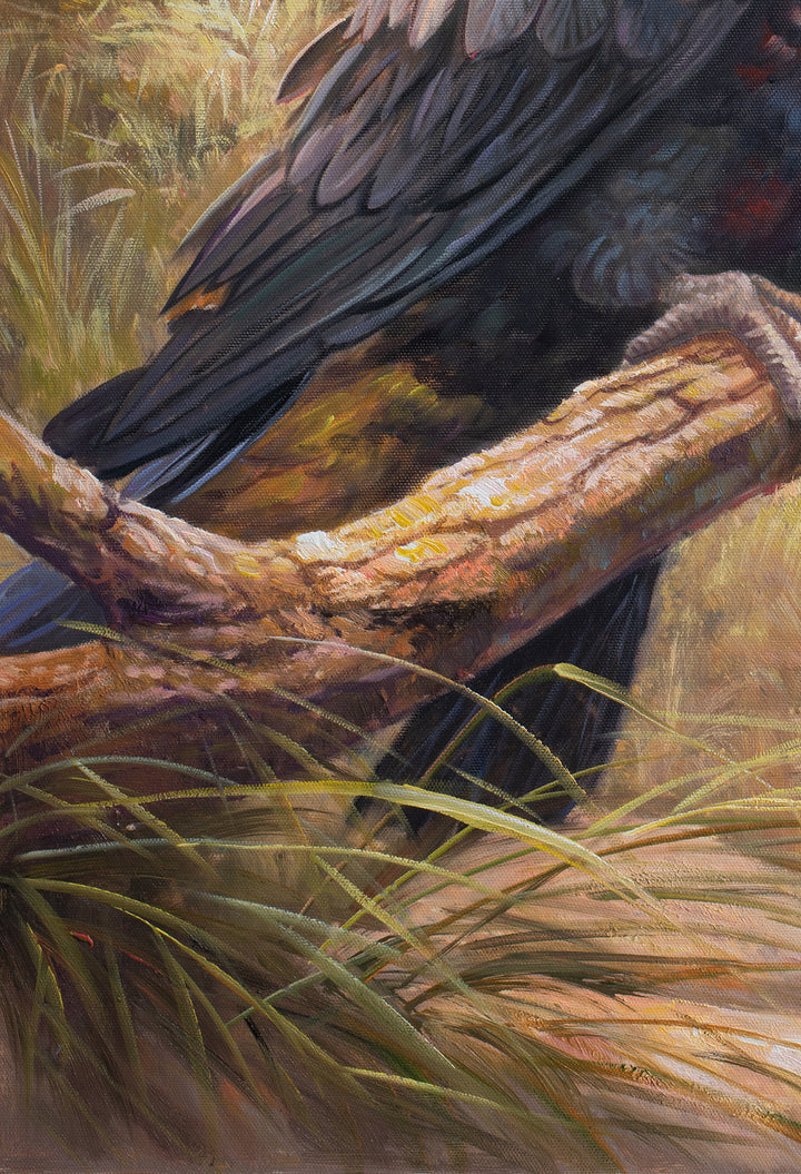 Original Black Cockatoo Oil Painting - 60x90cm - Yellow-Tailed Black Cockatoo in Native Bush Landscape close up bottom left