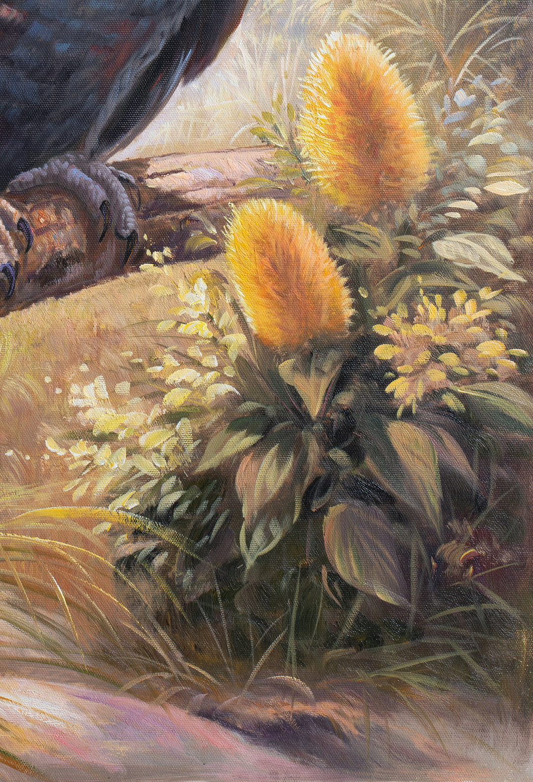 Original Black Cockatoo Oil Painting - 60x90cm - Yellow-Tailed Black Cockatoo in Native Bush Landscape close up bottom right