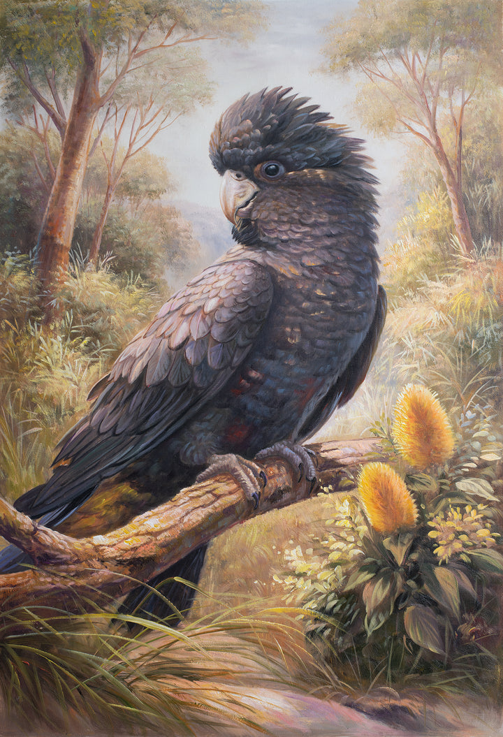 Original Black Cockatoo Oil Painting - 60x90cm - Yellow-Tailed Black Cockatoo in Native Bush Landscape