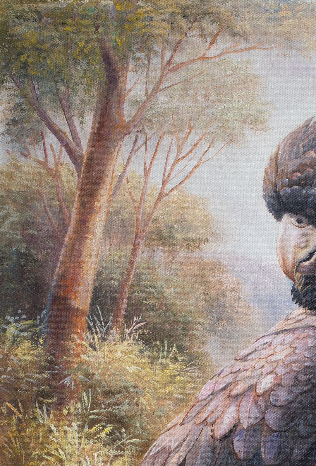 Original Black Cockatoo Oil Painting - 60x90cm - Yellow-Tailed Black Cockatoo in Native Bush Landscape close up top left