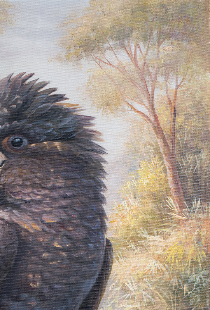 Original Black Cockatoo Oil Painting - 60x90cm - Yellow-Tailed Black Cockatoo in Native Bush Landscape close up top right