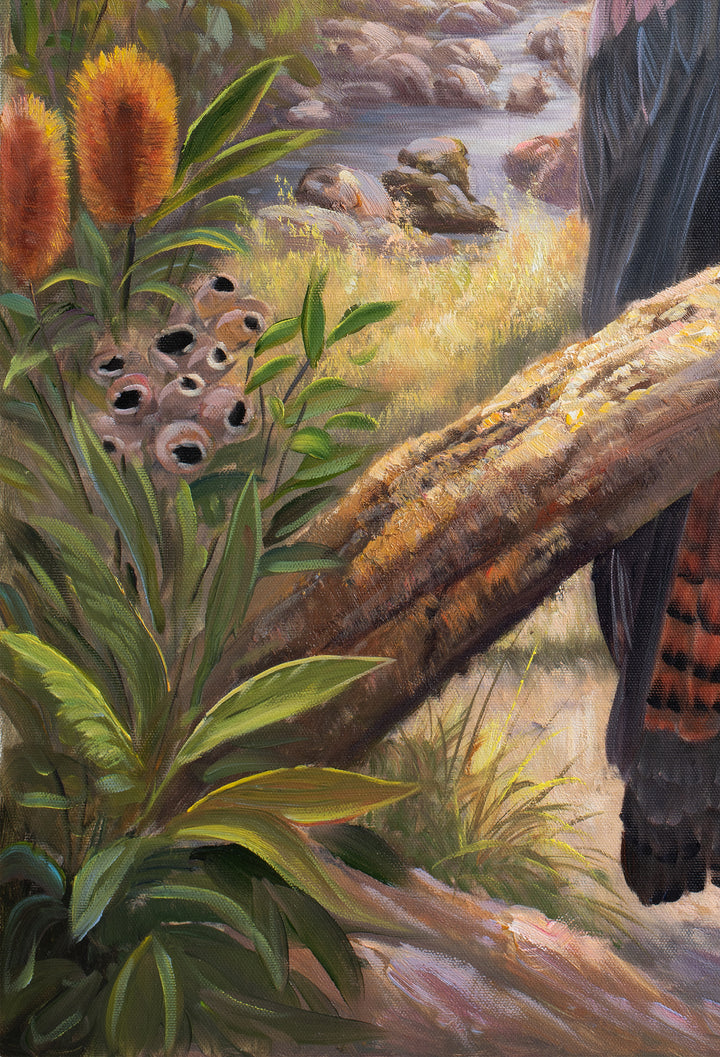 Original Australian Yellow-Tailed Black Cockatoo Limited Edition Canvas Print - Quiet Bush Stream Wall Art close up bottom left
