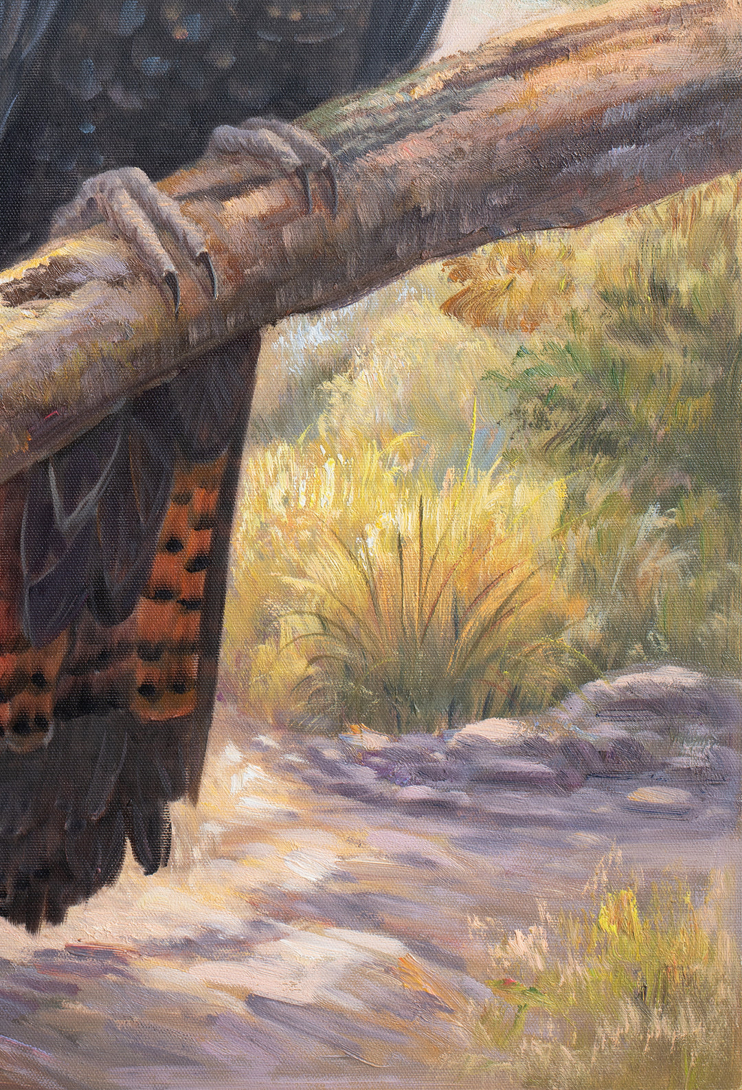 Original Australian Yellow-Tailed Black Cockatoo Limited Edition Canvas Print - Quiet Bush Stream Wall Art close up bottom right