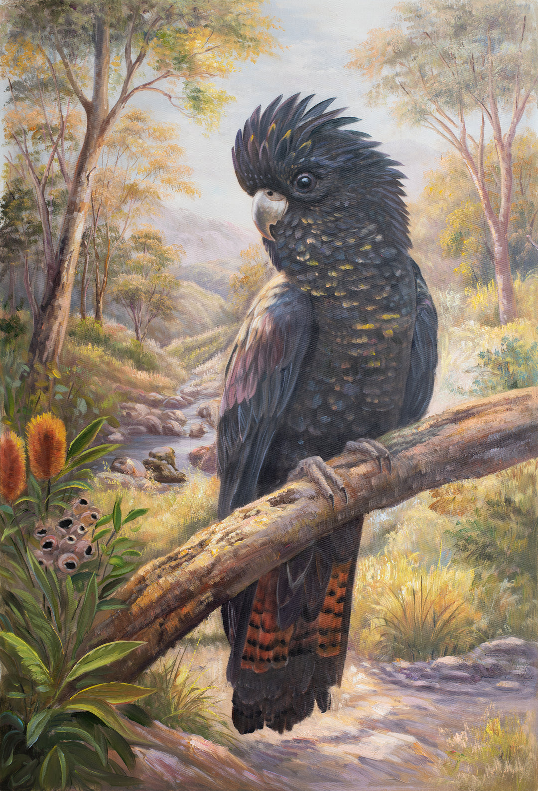 Original Australian Yellow-Tailed Black Cockatoo Limited Edition Canvas Print - Quiet Bush Stream Wall Art