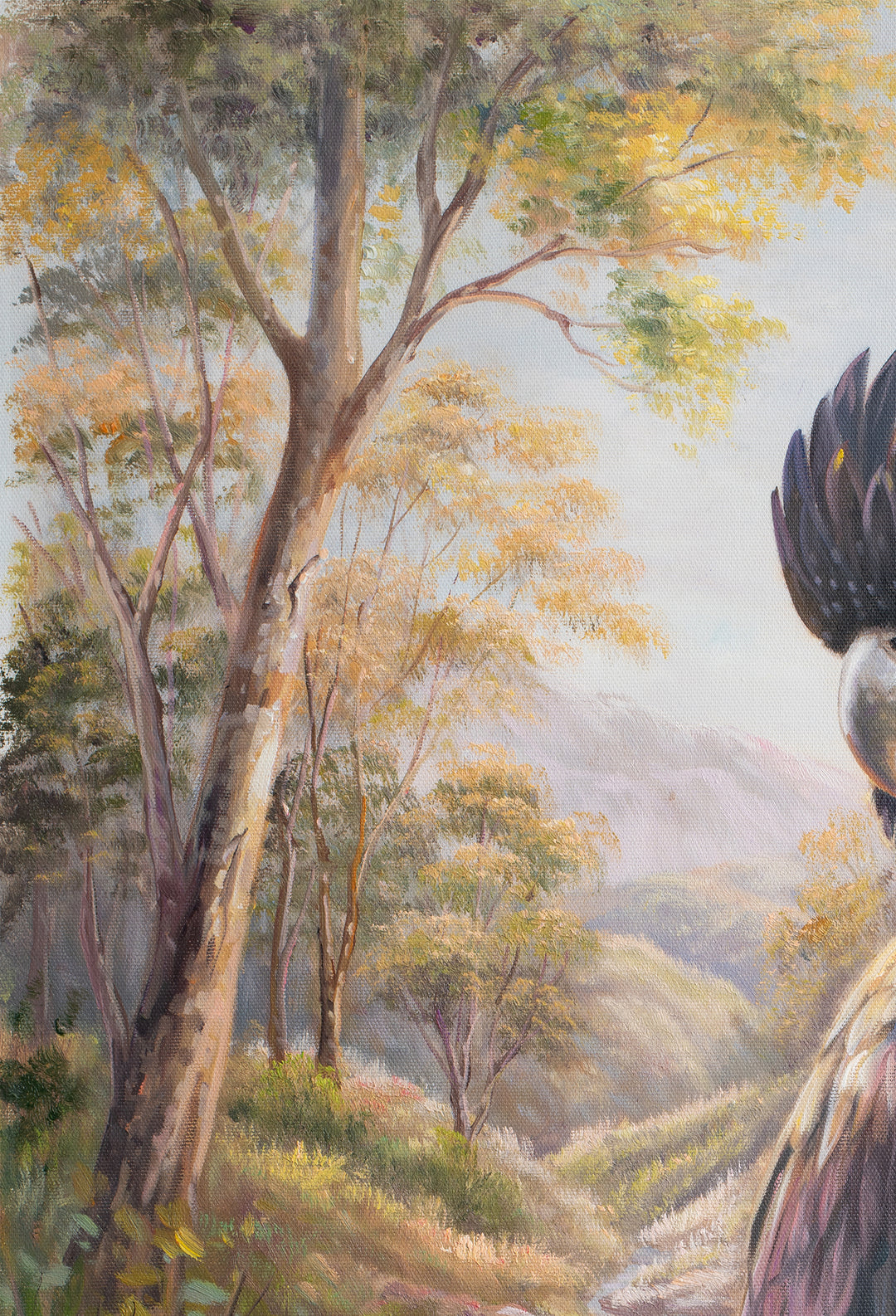 Original Black Cockatoo Oil Painting - 60x90cm - Yellow-Tailed Black Cockatoo by Quiet Bush Stream, Australian Landscape Art close up top left