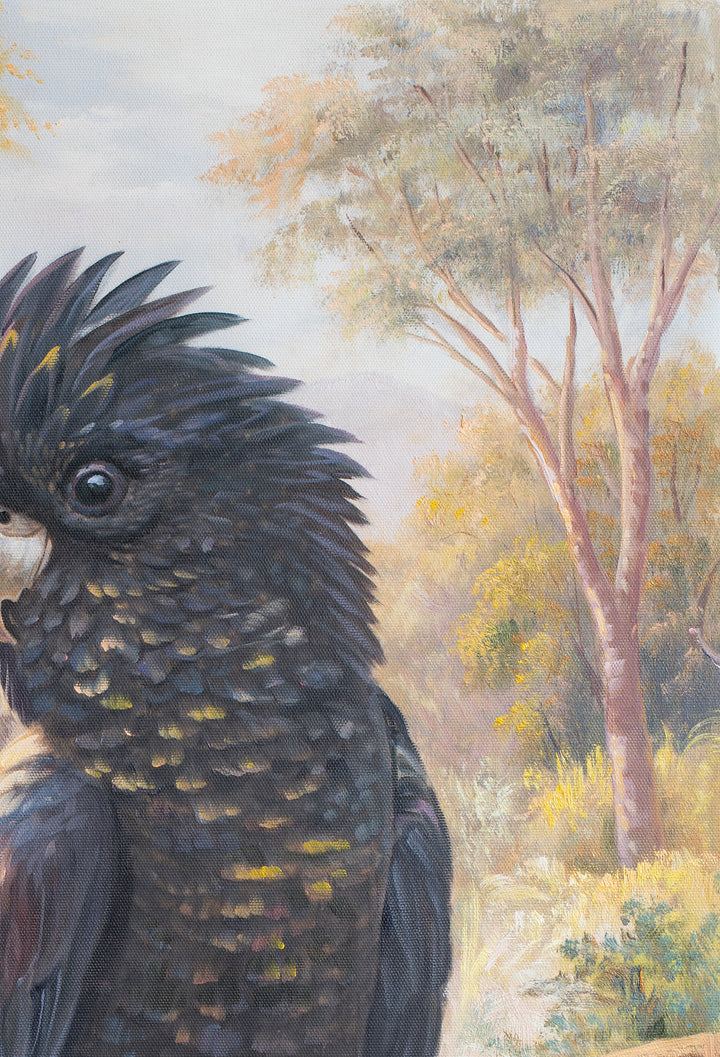 Original Black Cockatoo Oil Painting - 60x90cm - Yellow-Tailed Black Cockatoo by Quiet Bush Stream, Australian Landscape Art close up top right