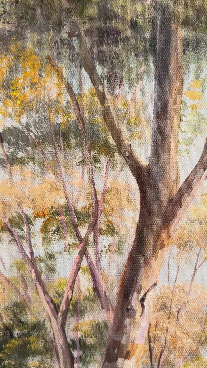 Original Black Cockatoo Oil Painting - 60x90cm - Yellow-Tailed Black Cockatoo by Quiet Bush Stream, Australian Landscape Art - video close up of detail of oil painting