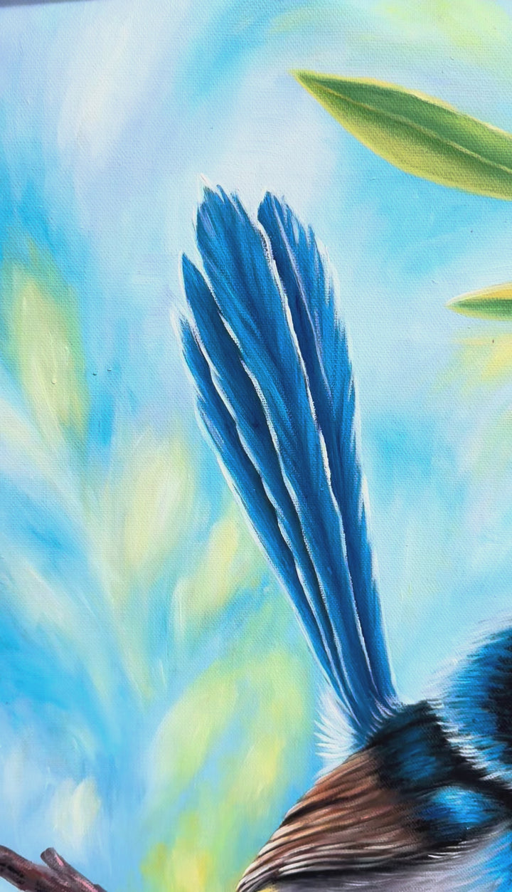 Original Australian Bird Oil Painting - 80x90cm - Fairy Wren on Wattle Branch with Soft Blue Background - video close up of detail of oil painting