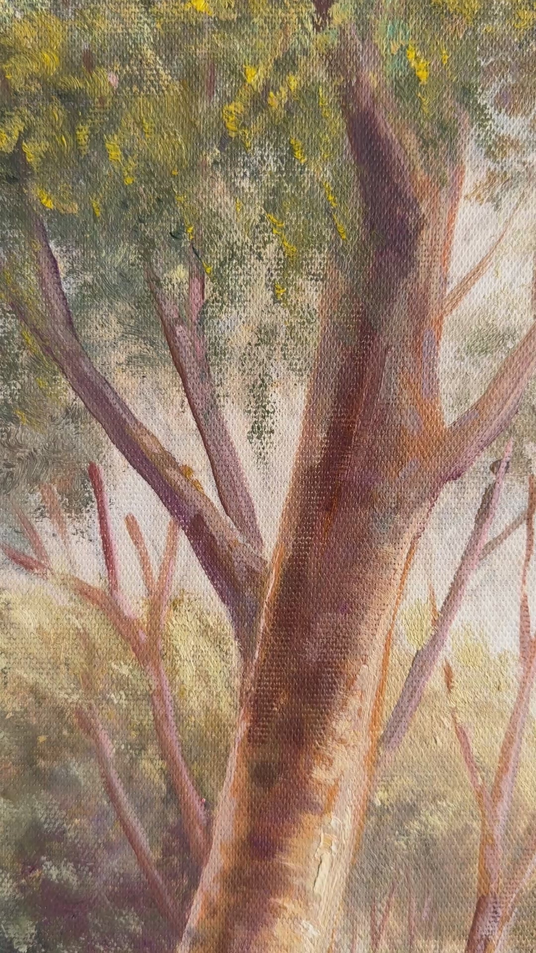 Original Black Cockatoo Oil Painting - 60x90cm - Yellow-Tailed Black Cockatoo in Native Bush Landscape - video of close up detail of oil painting