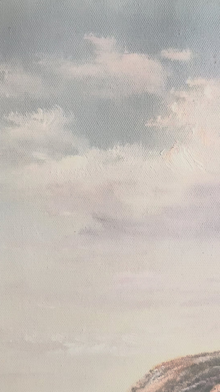 Original Kookaburra Oil Painting - 60x90cm - Kookaburra Perched on Log Seascape Wildlife Art - video of close up of oil painting