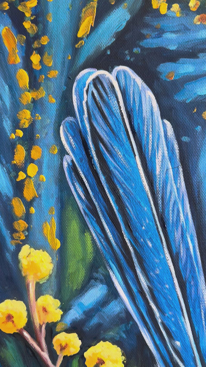 Original Australian Bird Oil Painting - 80x90cm - Fairy Wren on Wattle Branch with Golden Blooms - video close up of detail of oil painting